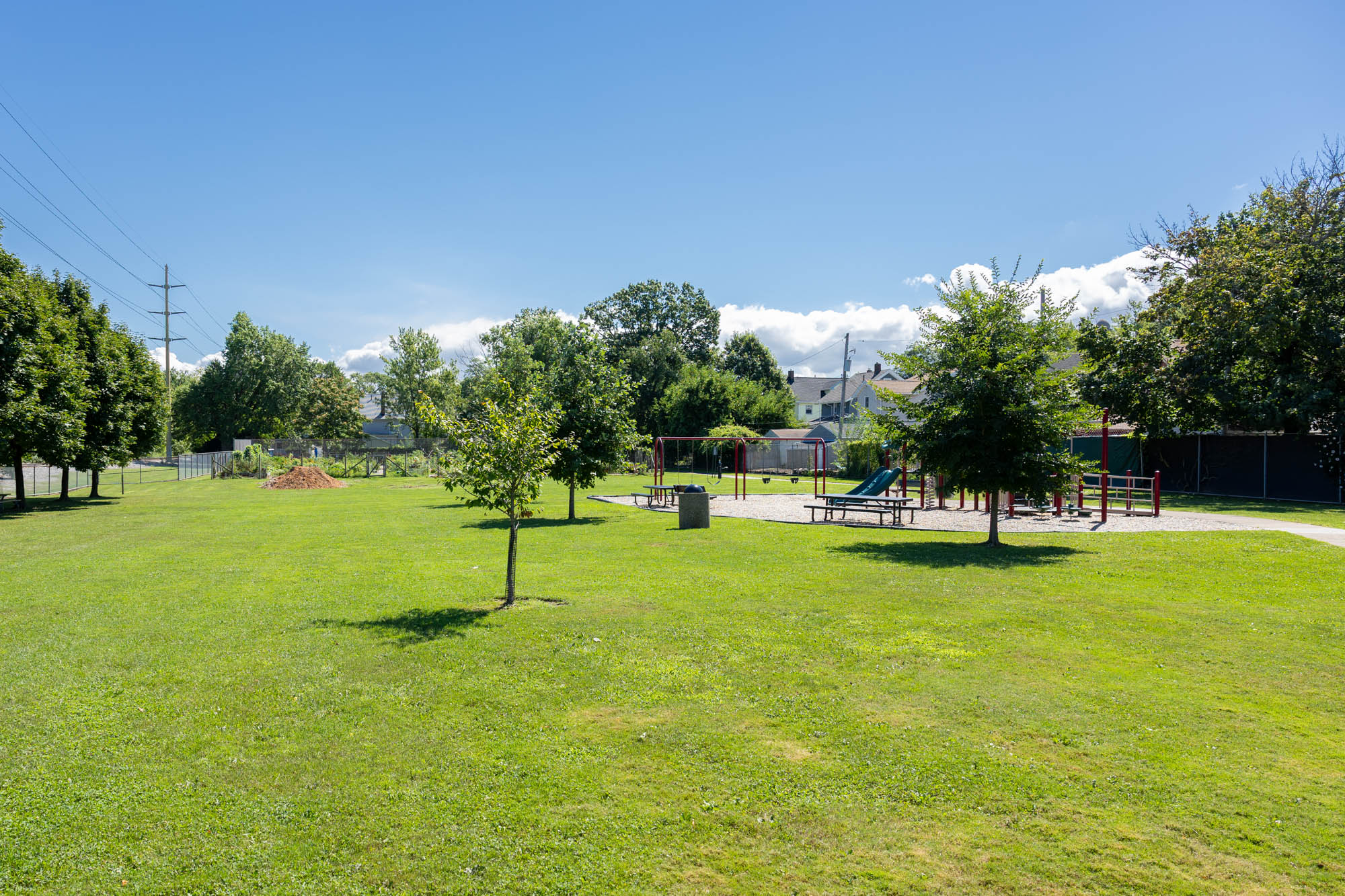 View of the entire Webb Park. Grass, small trees, and playground.
